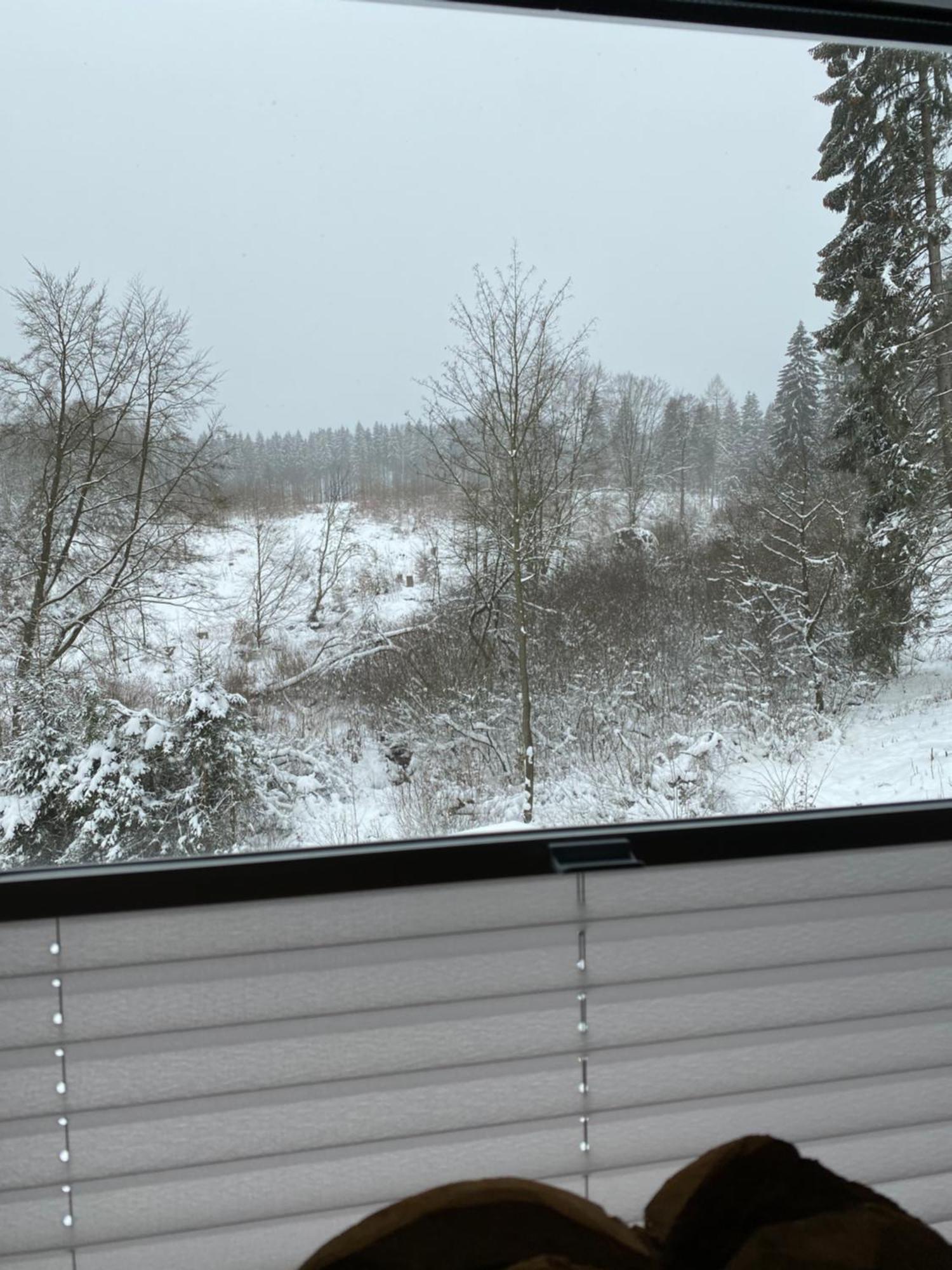 Haus Am Wald Gæstehus